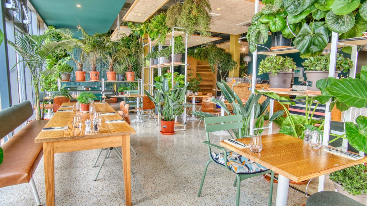 La salle lumineuse du Botani Café à Lyon, remplie de plantes vertes et de tables en bois