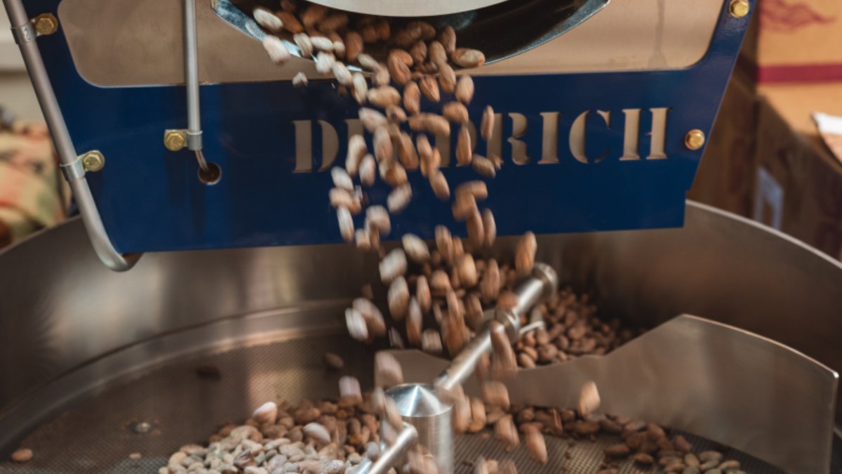 Des fèves de cacao tombent du torréfacteur à La Manufacture du Chocolat, atelier bean to bar à Lyon