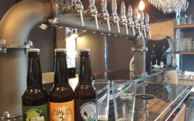 Lokace, le bar de l’avenue Jean Jaurès à Lyon 7e qui mélange tapas, bières artisanales et blind tests