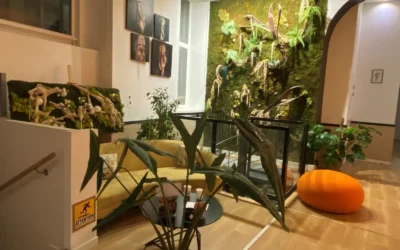 Premium Massage, le salon de la rue de la République ouvert 7 jours sur 7 jusqu’à 21 h 30, dimanche compris