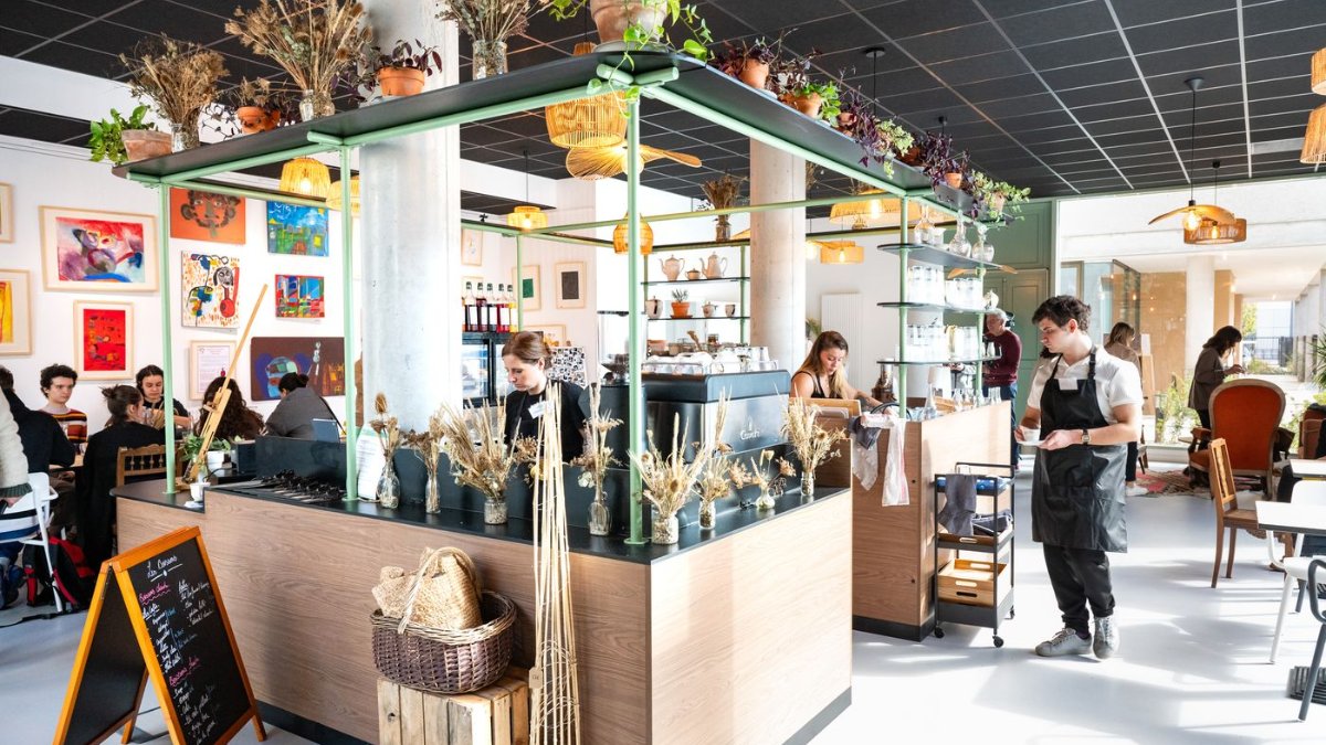 Le comptoir en bois et la salle lumineuse décorée de plantes et de tableaux du coffee shop Le Zibou Lab à Lyon Le comptoir en bois et la salle lumineuse décorée de plantes et de tableaux du coffee shop Le Zibou Lab à Lyon
